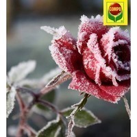 Фото Добриво Compo для троянд 1 кг 2717