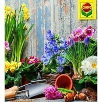 Добриво Compo для квітучих рослин 500 мл 4529
