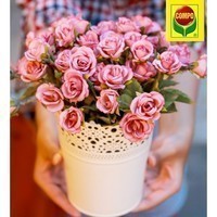Добриво Compo для троянд 2 кг 1575