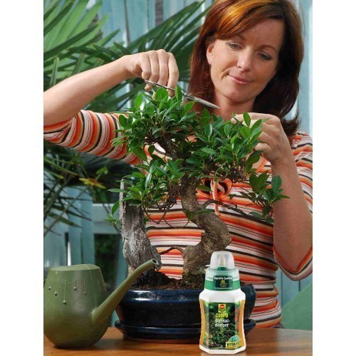 Добриво Compo для кактуса і бонсаев 250 мл 4064