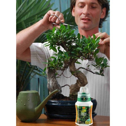 Добриво Compo для кактуса і бонсаев 250 мл 4064