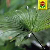 Фото Аплікатор Compo для зелених рослин і пальм 150 мл 0303
