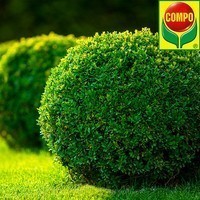 Фото Добриво Compo для буксусів, вічнозелених рослин, хвої 1 л 2558