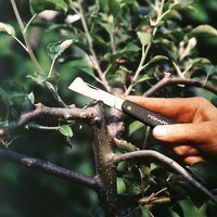 Фото Ніж для прищеплення рослин Fiskars К60 16,8 см 50 г