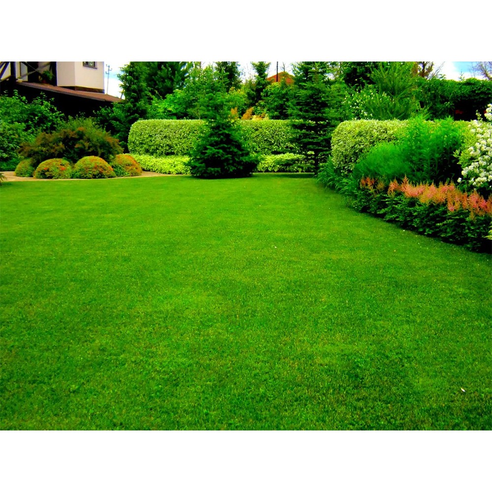 Тверде добриво Compo для газонів 2 кг 5283