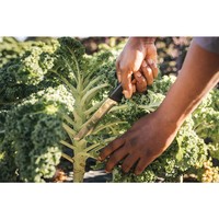 Ніж садовий Fiskars X-series K82 1062830