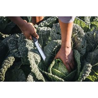 Ніж садовий Fiskars X-series K82 1062830