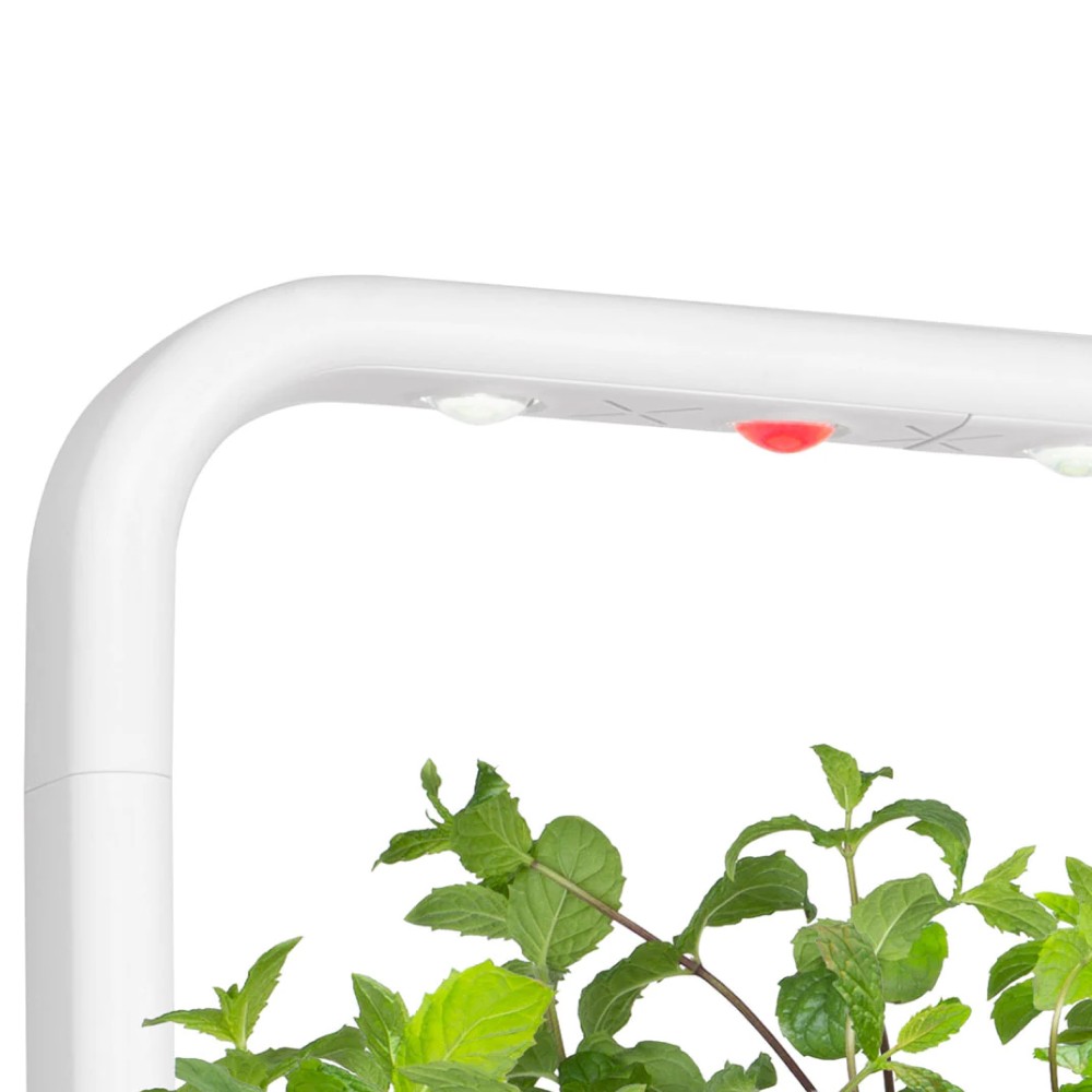Змінна лампа для Smart Garden 9 Click and Grow SGAL9UNI