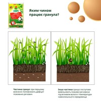 Тверде добриво Compo для газонів 20 кг 5284