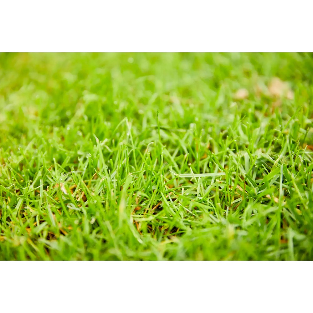 Тверде добриво Compo для газонів 20 кг 5284