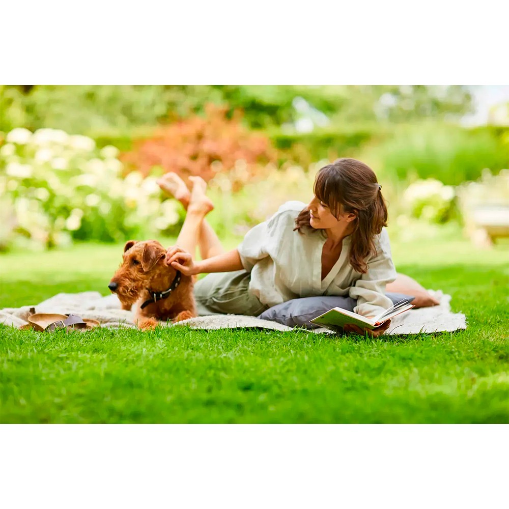 Тверде добриво Compo для газонів 20 кг 5284