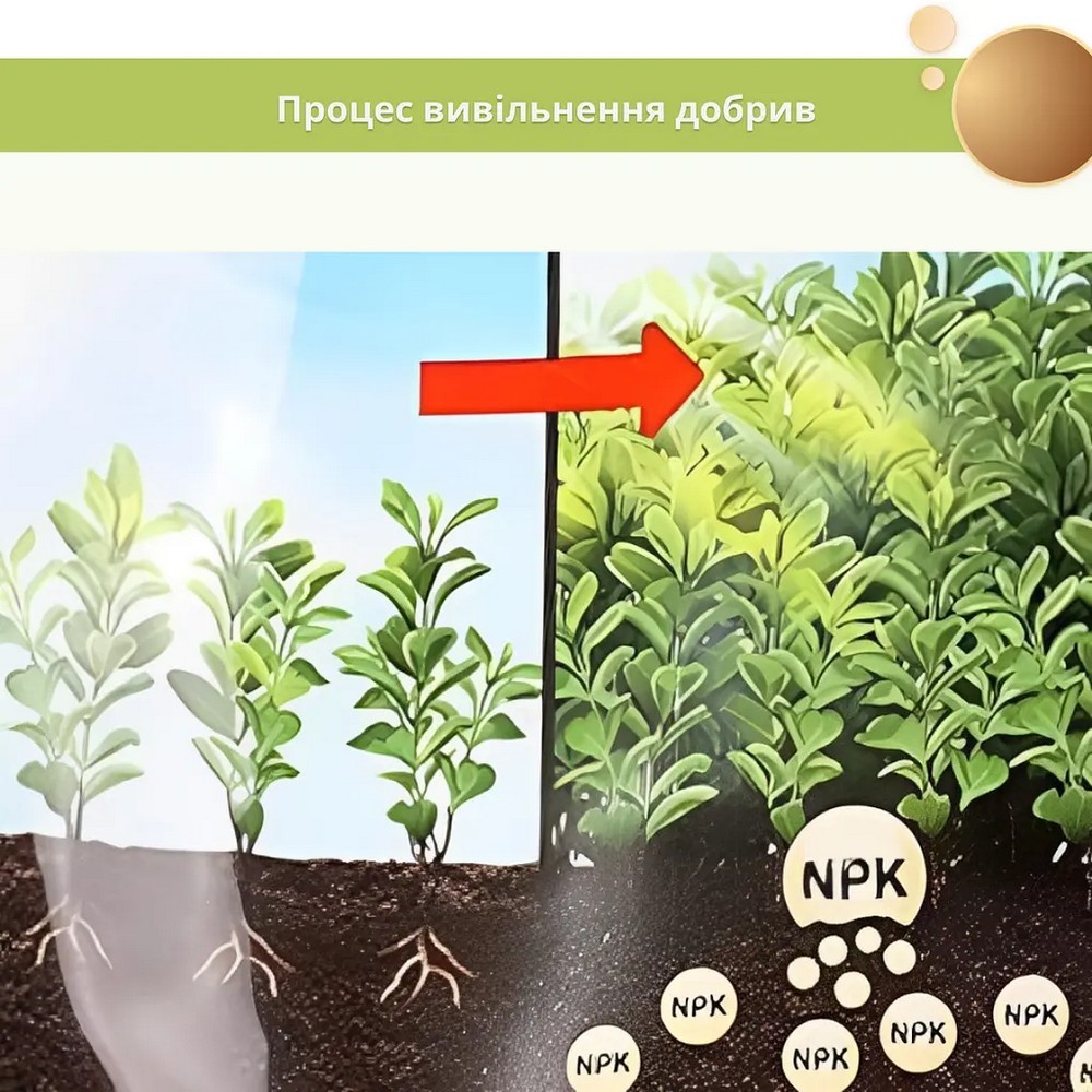 Тверде добриво Compo Turbo для швидкого зростання рослин та живоплотів 4 кг 2466