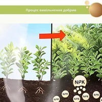 Тверде добриво Compo Turbo для швидкого зростання рослин та живоплотів 4 кг 2466
