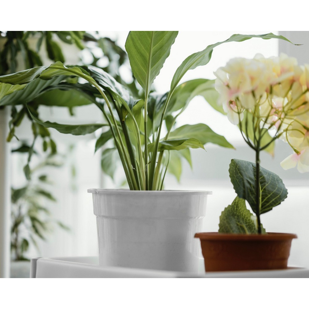 Торфосуміш COMPO Complete універсальна 5 л 3184