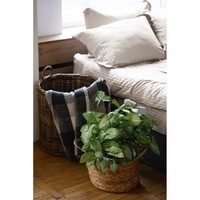 Універсальний спрей Compo Complete 500 мл 6357