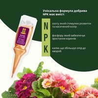 Аплікатор Compo Квітковий бустер 5 x 30 мл 4138